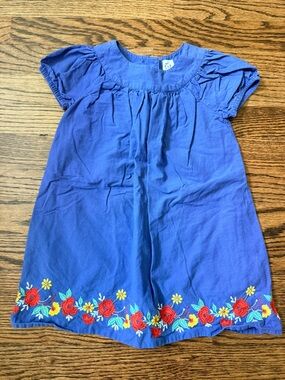 GAP Blue Girls Casual Dress with Floral Embroidery